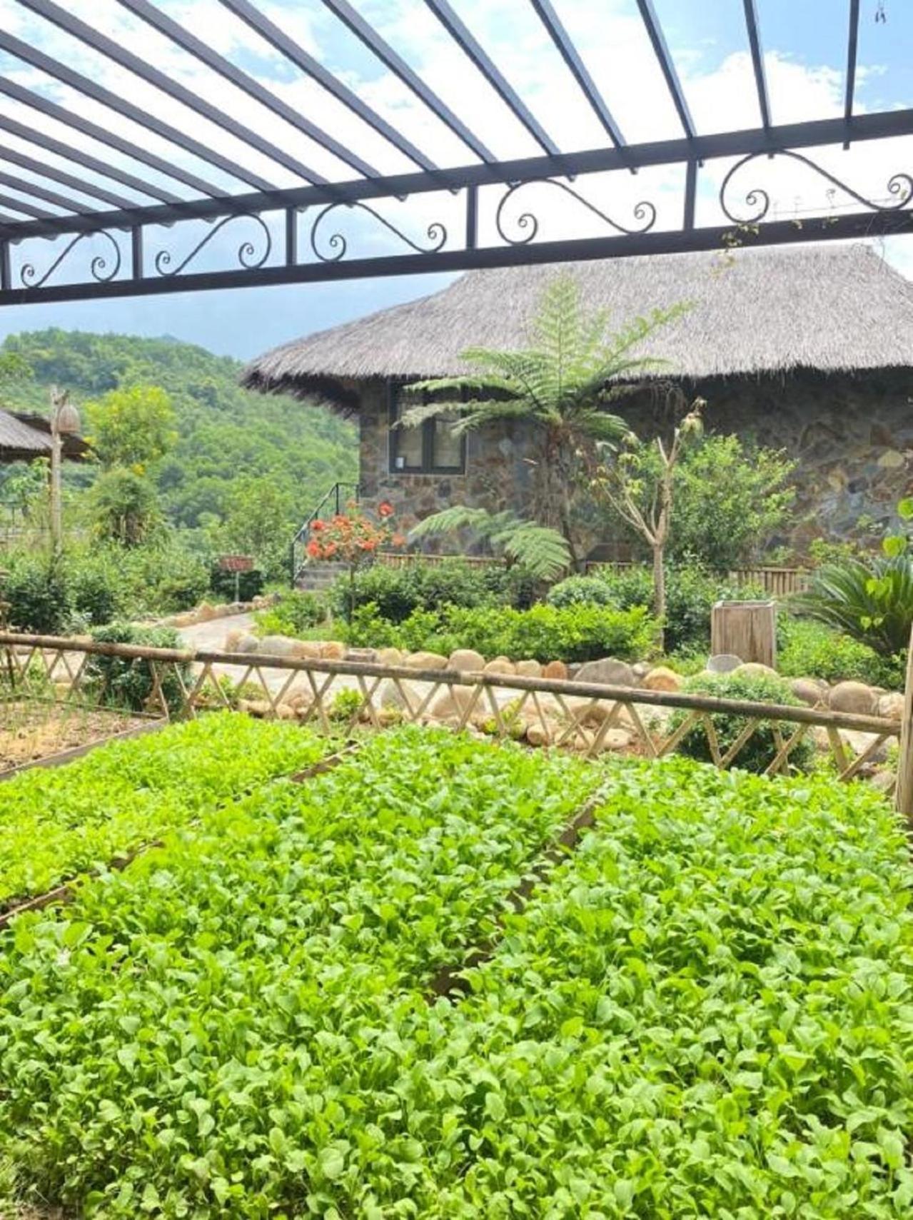 Muong Lo Retreat Nghia Lo Villa Yen Bai Exterior photo